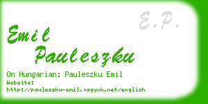 emil pauleszku business card